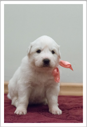 Capture One Session0307